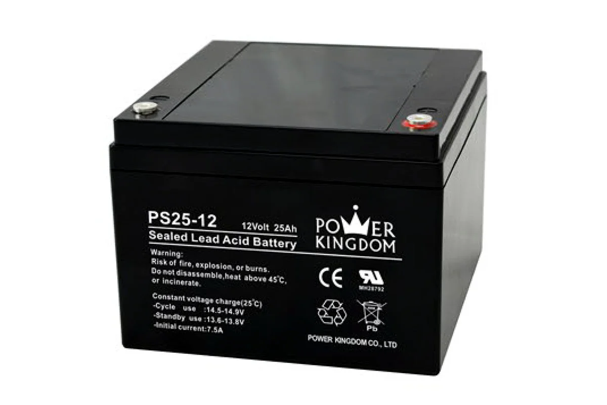 Аккумуляторная батарея Power Kingdom 12 В 25 А·ч (AGM)